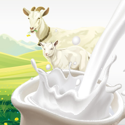 Goat's Milk